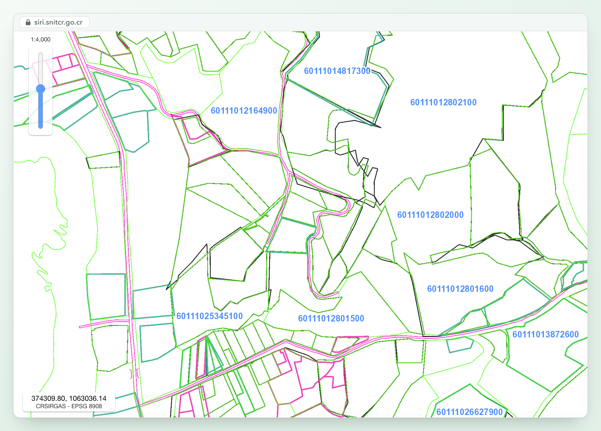 Sección del mapa catastral del Registro en el visor SIRI, a escala 1:4.000: contornos de predios trazados en varios colores, con los números de predio en azul. En algunos puntos, contornos de distintas capas corren paralelos o se cruzan en vez de coincidir.
