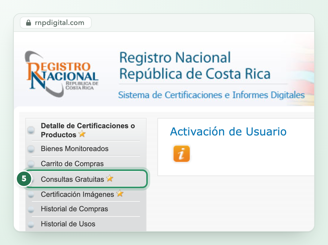 The page a new Registro Nacional account opens on, with Consultas Gratuitas highlighted as step 5 in the menu on the left