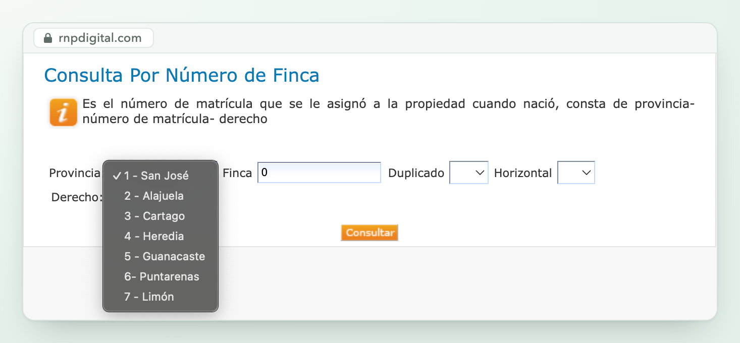 The Registro Nacional's lookup form with the province dropdown open, showing seven provinces beside boxes for finca, duplicado, horizontal and derecho